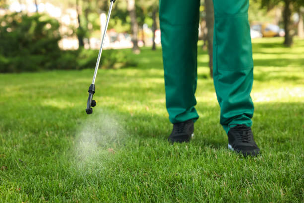 Best Affordable Pest Control Services  in Wilmington, OH