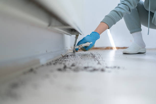 Best Affordable Pest Control Services  in Wilmington, OH